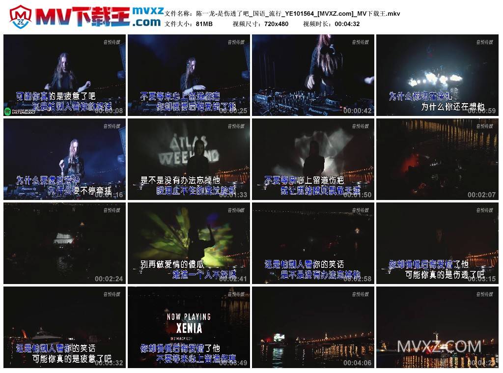 陈一龙-是伤透了吧_国语_流行_YE101564